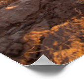 Poster Prickly Pear Cactus (Coin)