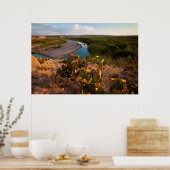 Poster Prickly Pear Cactus (Cuisine)