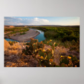 Poster Prickly Pear Cactus (Devant)