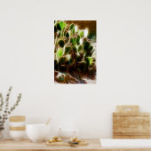 Poster- Prickly Pear Cactus Poster (Keuken)