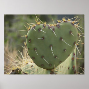 Poster Prickly Pear Heart