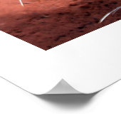 Poster Prickly Pear Heart (Coin)