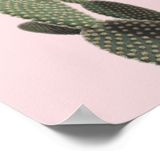 Poster Pricky Pear Cactus and Pink (Coin)