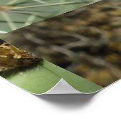 Poster Pricky Pear Green Yellow Bloom (Coin)