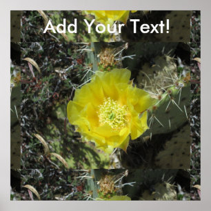 Poster Pricky Pear Yellow Bloom Fermer