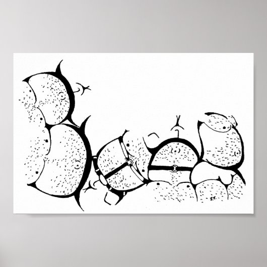 Poster Pride aux ours ! (Devant)