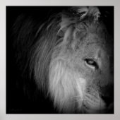 Poster Pride King (Devant)