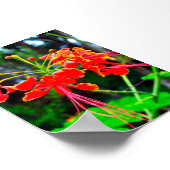 Poster Pride of Barbados Stretched Canvas Print (Coin)