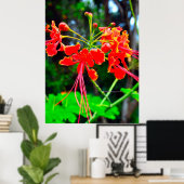 Poster Pride of Barbados Stretched Canvas Print (Bureau à domicile)