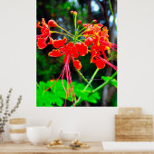 Poster Pride of Barbados Stretched Canvas Print (Cuisine)