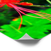 Poster Pride of Barbados Stretched Canvas Print (Coin)