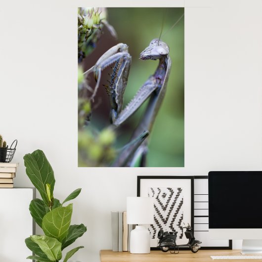 Poster Prier Mantis (Bureau à domicile)