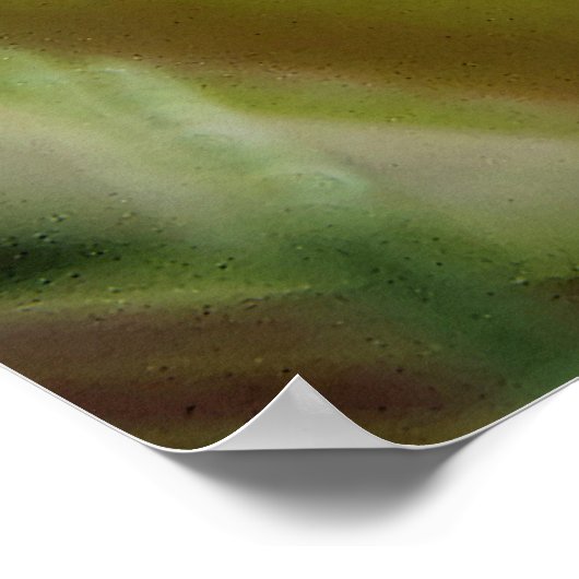 Poster Prier Mantis (Coin)