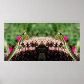 Poster Prier Mantis Sur Sedum Flower Mirror Abstrait (Devant)