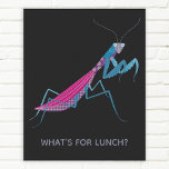 Poster Prier Mantis Texte personnalisé<br><div class="desc">Une mante de prière amusante pour les amoureux des insectes et des insectes. Certaines femmes mantises en prière mangent leurs petits amis. Eek ! Ajoutez votre propre texte pour customiser avec un nom,  une phrase ou une blague.</div>