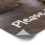 Poster Prière de chat (Coin)