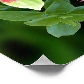 Poster Prière de saint François avec cadre de glace (Coin)