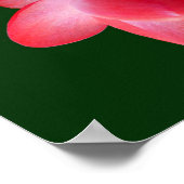 Poster Prière de Saint François avec la frontière des cac (Coin)