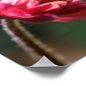 Poster Prière de sérénité Fleur inspirante (Coin)