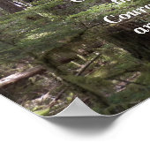Poster Prière de sérénité Forêt illuminée Photographie (Coin)