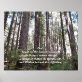 Poster Prière de sérénité Forêt illuminée Photographie (Devant)
