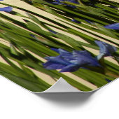 Poster Prière de sérénité Iris bleus Floral (Coin)