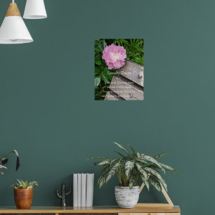 Poster Prière de sérénité rose pivoine florale