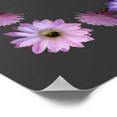 POSTER PRIÈRE DE ST FRANCIS (Coin)