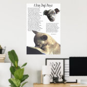 Poster Prière d'un chien errant (couleur arrière - plan a (Bureau à domicile)