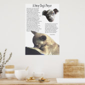 Poster Prière d'un chien errant (couleur arrière - plan a (Cuisine)