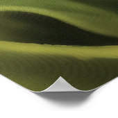 Poster Prière Mantis Portrait Insect Art (Coin)