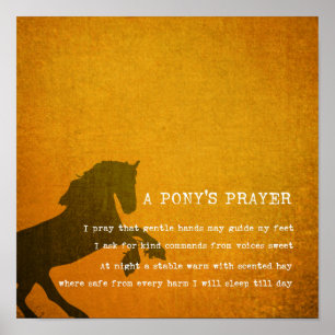 Poster PRIÈRE PONY 12 x 12 Canvas Imprimer