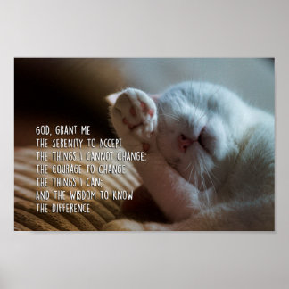 Poster Prière Sérénité Paisible Chat Dormir