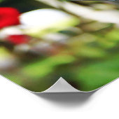 Poster Prière silencieuse tombée (Coin)