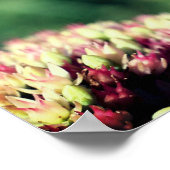 Poster Priez Mantis Élevée De Près (Coin)