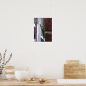 Poster Priez Mantis sur mur de briques (Cuisine)