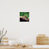 Poster Priez Mantis Sur Sedum Flower Close Up (Cuisine)
