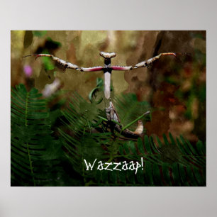 Poster Priez Mantis Wazzaap !