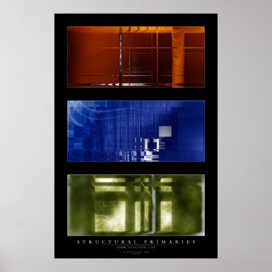 Poster Primaires structurelles (Devant)