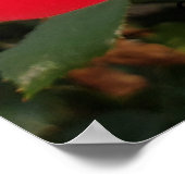 Poster primeur unique (Coin)