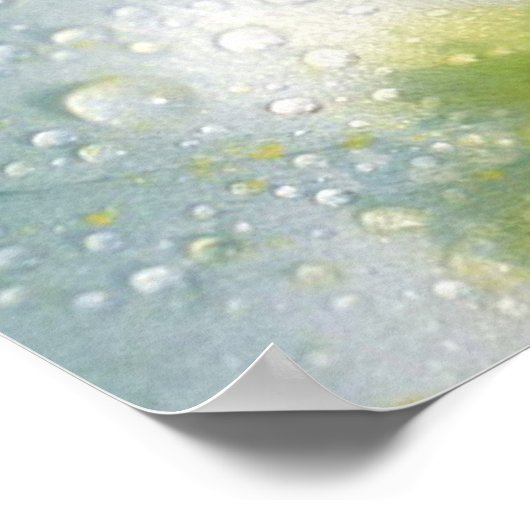 Poster Primrose (Coin)