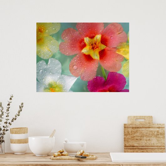 Poster Primrose (Cuisine)