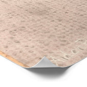 Poster Primrose du trottoir (Coin)