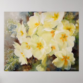 Poster Primrose Posy (Devant)