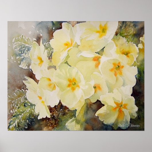 Poster Primrose Posy (Devant)
