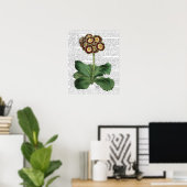 Poster Primula Aurium Rouge (Bureau à domicile)