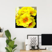 Poster Primula jaune au printemps (Bureau à domicile)