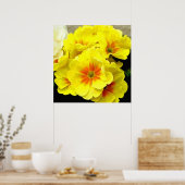 Poster Primula jaune au printemps (Cuisine)