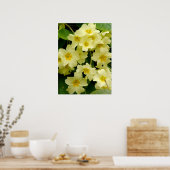 Poster Primula Jaune/Fleur Primrose Imprimer/Poster (Cuisine)