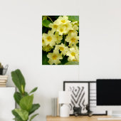 Poster Primula Jaune/Fleur Primrose Imprimer/Poster (Bureau à domicile)